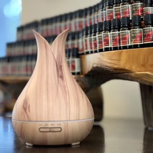 Birch Bloom Wood Diffuser