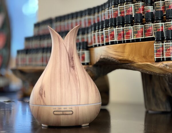 Birch Bloom Wood Diffuser