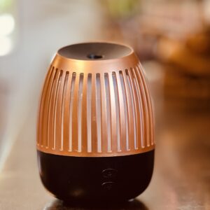 The Flawsome Diffuser