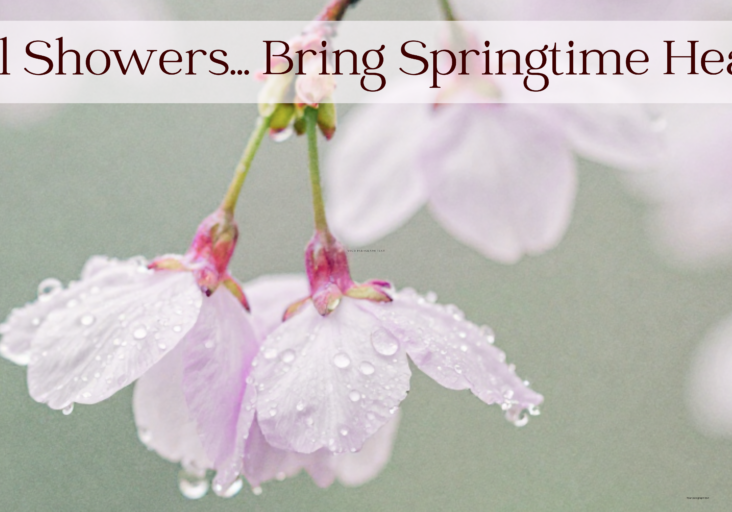 April Showers (6)