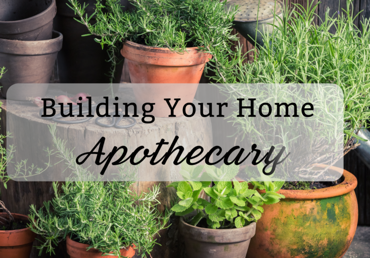 Building Your Home Apothecary