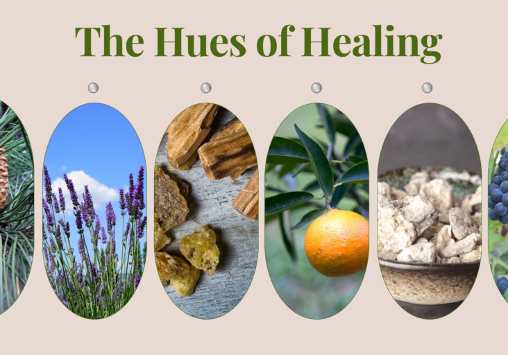 Hues of Healing