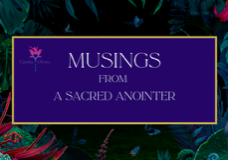 Musings border2