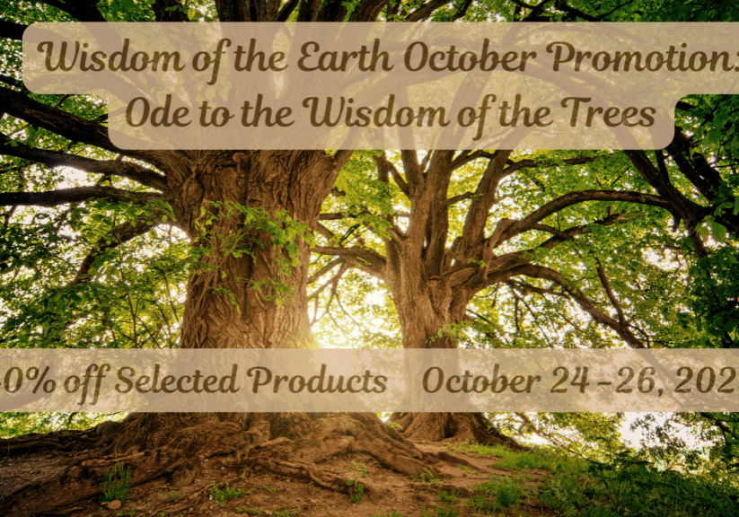 Ode to the wisdom of Trees