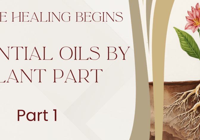 Plant Parts Banner