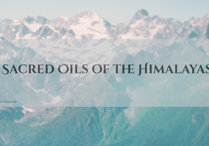 Sacred Oils of the Himalayas