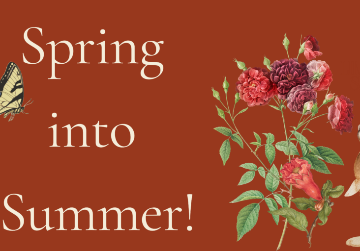 Spring into Summer test